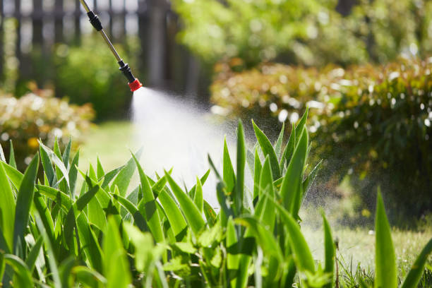 24/7 Emergency Mosquito Control experts in Brookdale, CA