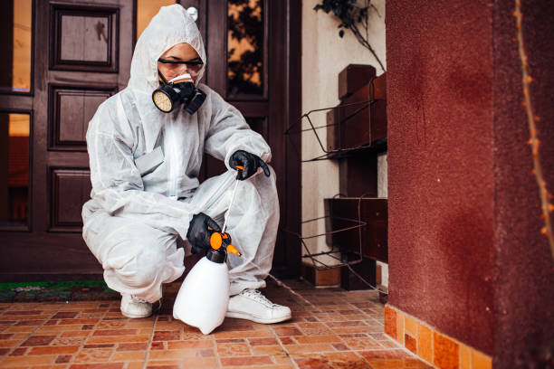 Reliable Mosquito Control contractor in Brookdale, CA by Show Me Pest Control
