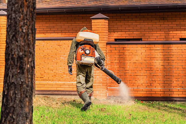 Top rated local Mosquito Control specialists in Brookdale, CA